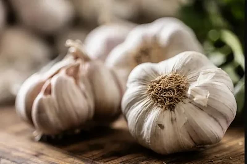 تصویر 3 از سیر کرمان سفید طعمی اصیل و تازه در هر دستور آشپزی